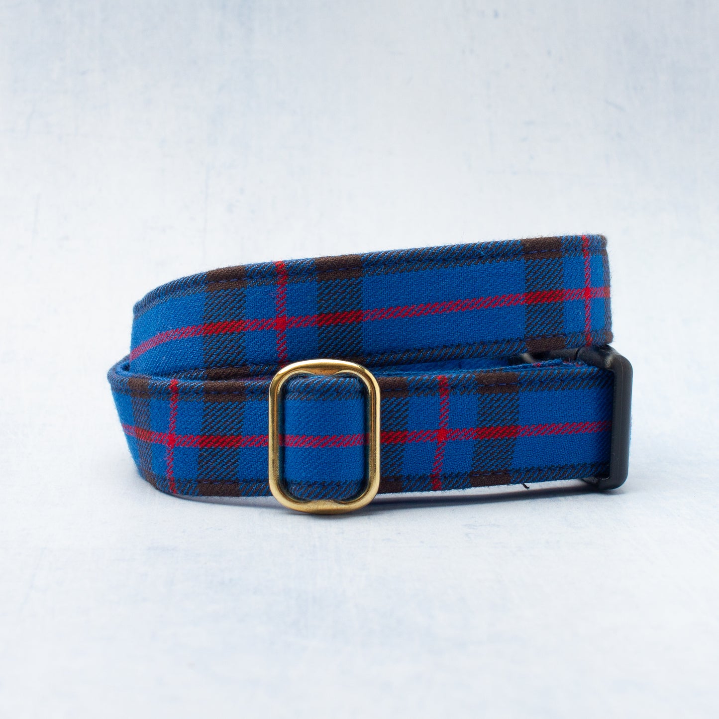 Dog Collar | Elliot