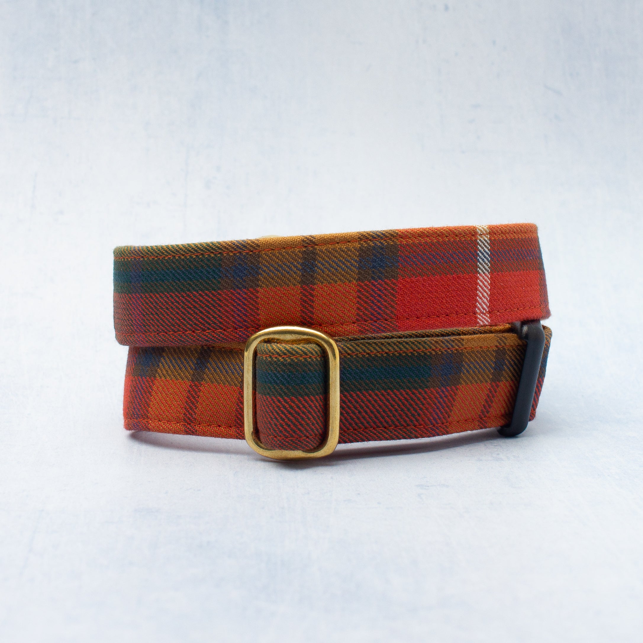 Dog Collar | Buchanan
