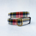 Dog Collar | Stewart Dress