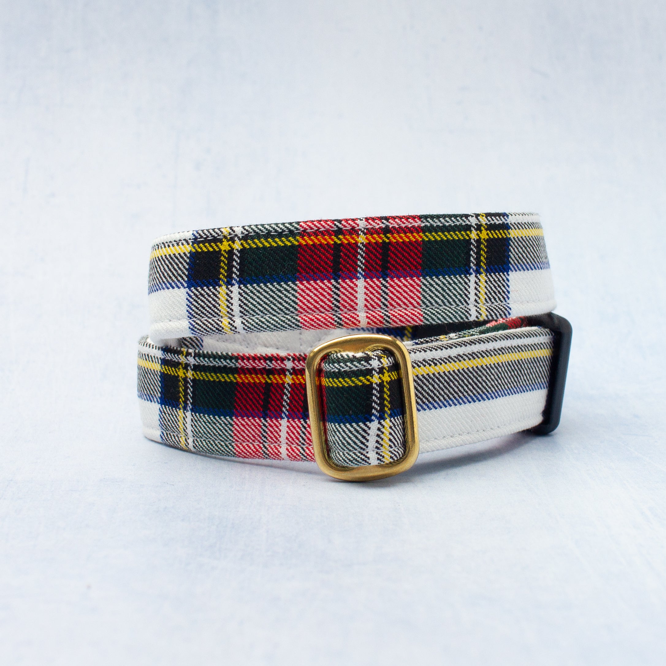 Dog Collar | Stewart Dress
