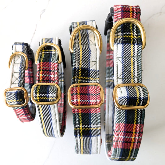 Dog Collar | Stewart Dress