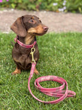 Dog Lead 100% Pure Wool | Lochcarron Hunting Rose