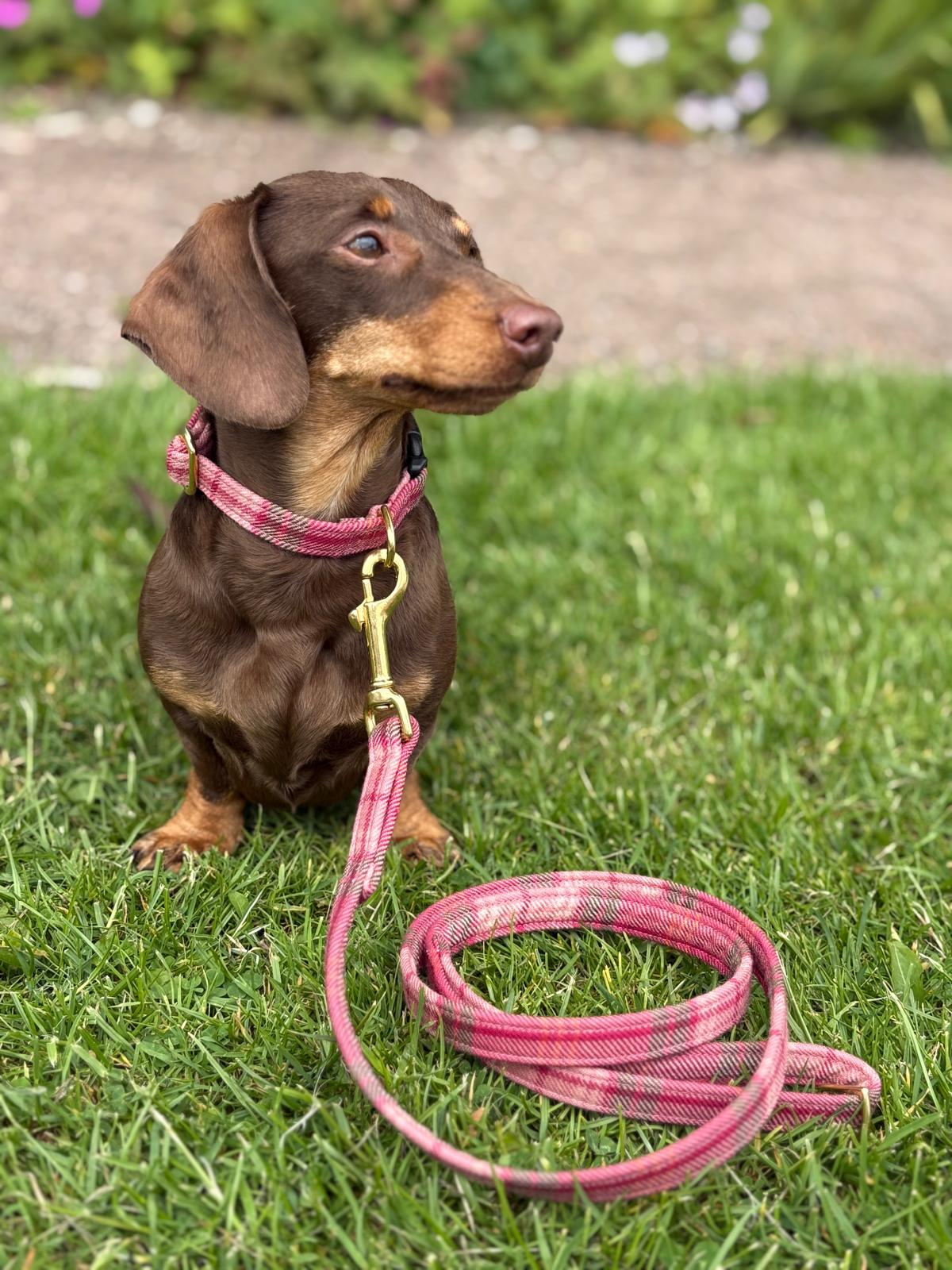 Dog Lead 100% Pure Wool | Lochcarron Hunting Rose