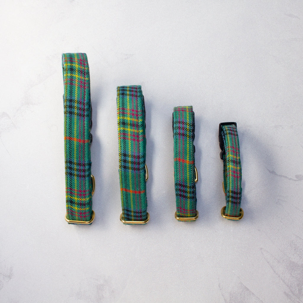 Dog Collar 100% Pure Wool | Kennedy