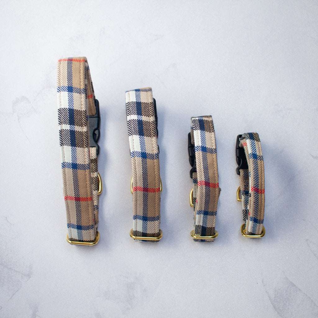 Dog Collar 100% Pure Wool | Thomson Camel