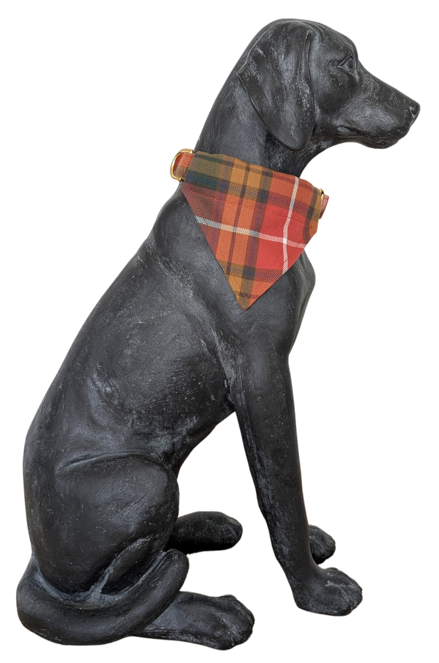 Neckerchief | Buchanan