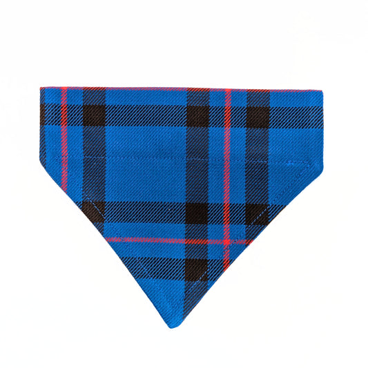 Neckerchief | Elliot